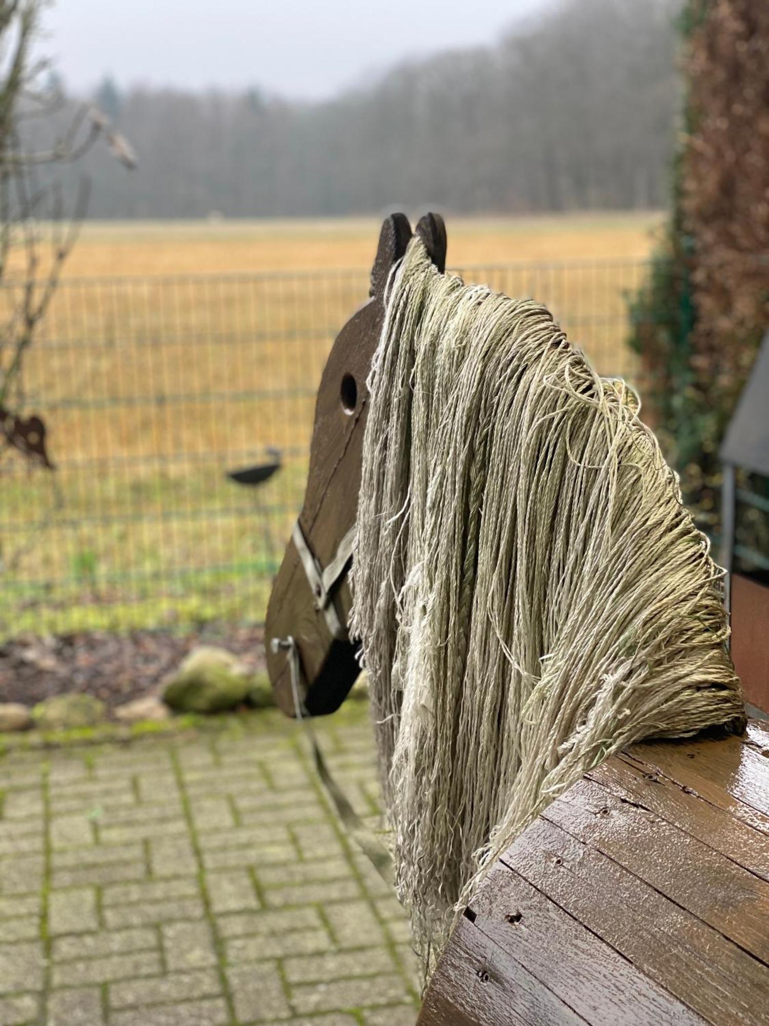 Schoene Auszeit Re14 Sögel Buitenkant foto