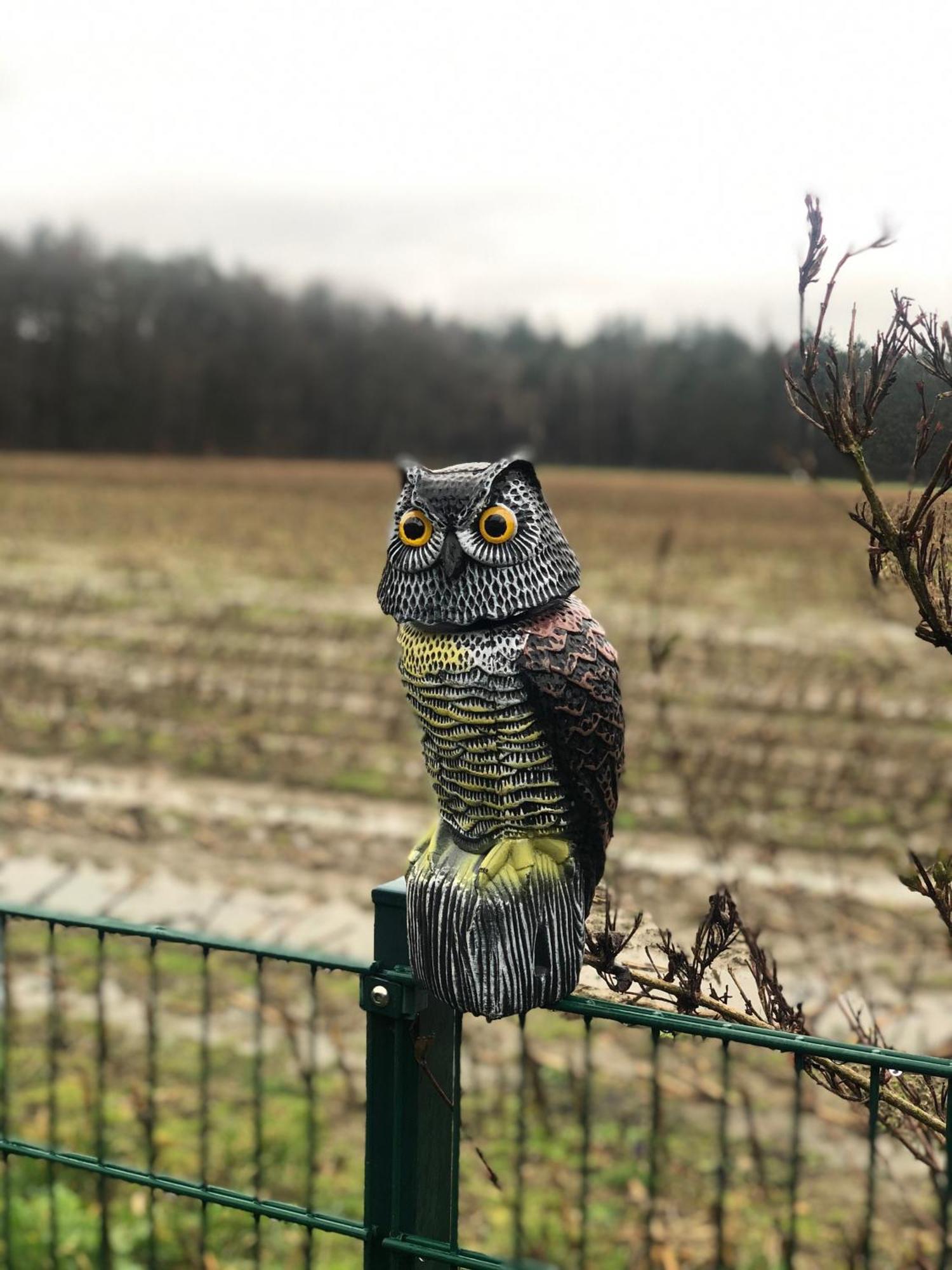 Schoene Auszeit Re14 Sögel Buitenkant foto